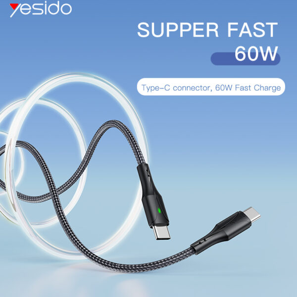 CA100 60W (20V/3A) Fast Charging USB Type-C Data Cable Nylon braided Cord Type-C to Type-C Cable