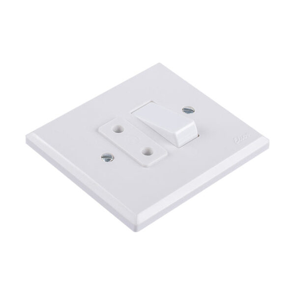 Single Pole One-Way Switch & One 2x10A Socket-Outlet