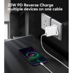 YC43 20W Fast Charging Home Charger(Type-C + Lightning Port) - Image 4